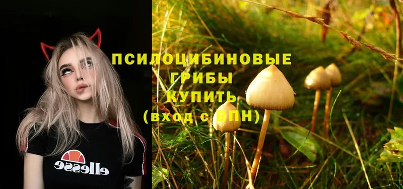 Псилоцибиновые грибы Magic Shrooms  купить   Воронеж 