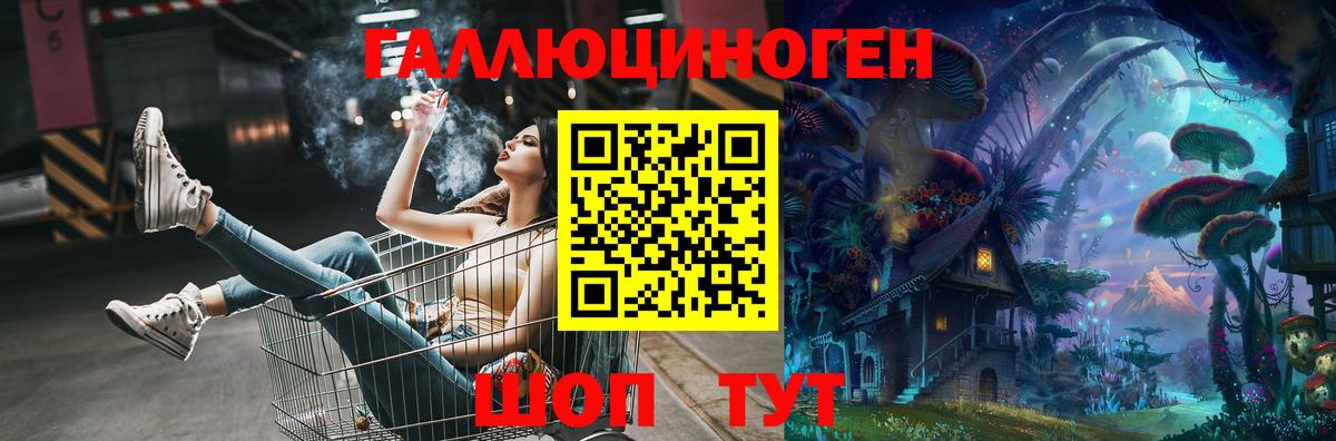 Псилоцибиновые грибы Psilocybe Воронеж