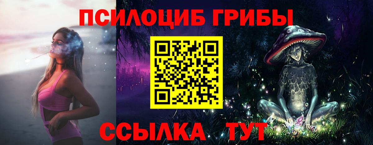 Псилоцибиновые грибы Cubensis  закладка  Воронеж  Вход с VPN 